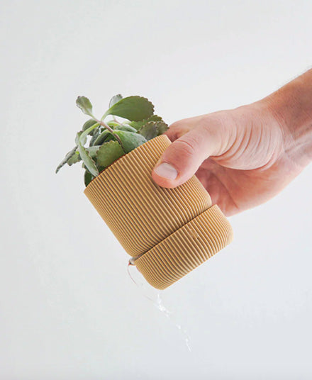 Hemlock Planter, Mustard Yellow