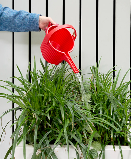 Garden Beetle Watering Can