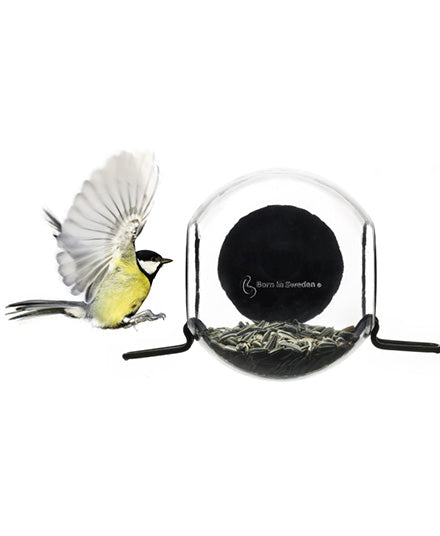 Bird Feeder, For The Window
