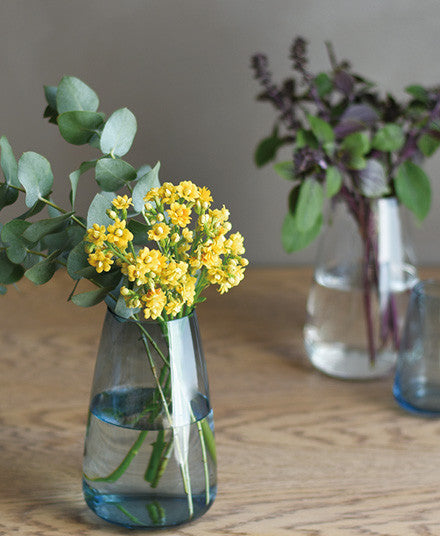 aqua culture vases