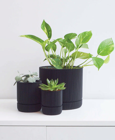 Hemlock Planter, Black