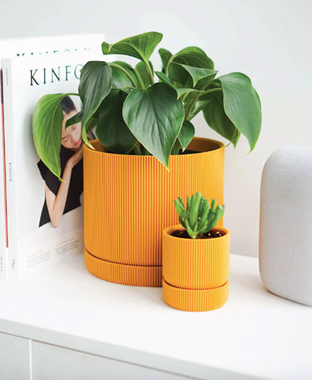 Hemlock Planter, Mustard Yellow