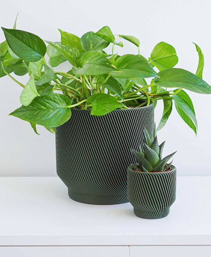 Spruce Planter, Olive Green